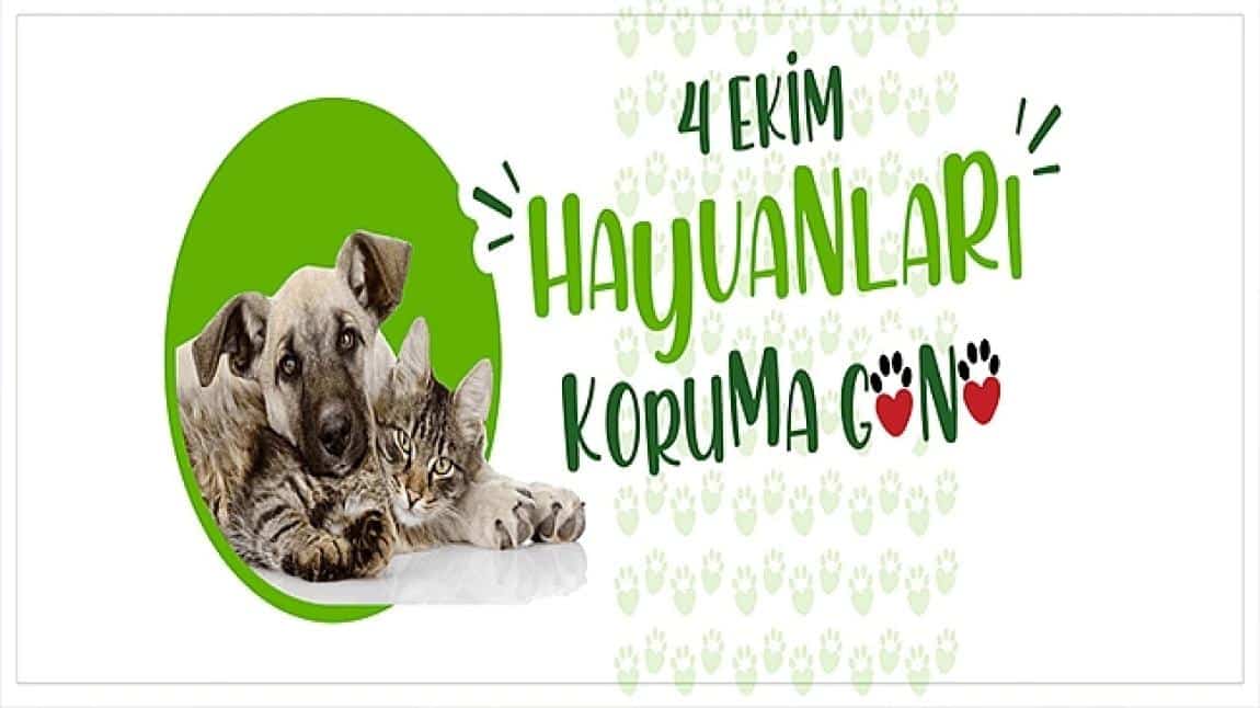 4 Ekim Hayvanları Koruma Günü (3-A Sınıfı Etkinliği)